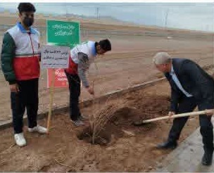 کاشت نهال های سنجد و زیتون، رهاورد روز درختکاری در نایین